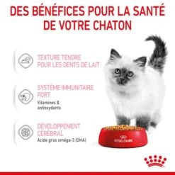 Cat Kitten Royal Canin Emincé En Gelée Sachet Repas 15 Cat Kitten Royal Canin Emincé En Gelée Sachet Repas -Vetoavenue cat kitten royal canin emince en gelee sachet repas 6