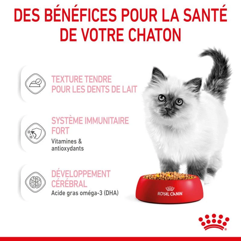 Cat Kitten Royal Canin Emincé En Gelée Sachet Repas 7 Cat Kitten Royal Canin Emincé En Gelée Sachet Repas – Image 7