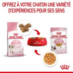 Cat Kitten Royal Canin Emincé En Gelée Sachet Repas 16 Cat Kitten Royal Canin Emincé En Gelée Sachet Repas -Vetoavenue cat kitten royal canin emince en gelee sachet repas 7
