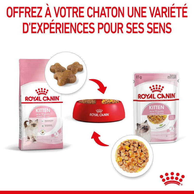 Cat Kitten Royal Canin Emincé En Gelée Sachet Repas 8 Cat Kitten Royal Canin Emincé En Gelée Sachet Repas – Image 8