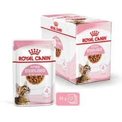 Cat Kitten Stérilisé Royal Canin Emincé En Sauce Sachet Repas -Vetoavenue cat kitten royal canin emince en sauce sachet repas 11