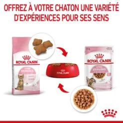 Cat Kitten Stérilisé Royal Canin Emincé En Sauce Sachet Repas -Vetoavenue cat kitten royal canin emince en sauce sachet repas 13
