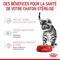 Cat Kitten Stérilisé Royal Canin Emincé En Sauce Sachet Repas -Vetoavenue cat kitten royal canin emince en sauce sachet repas 14