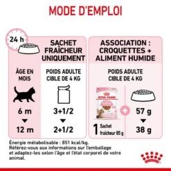 Cat Kitten Stérilisé Royal Canin Emincé En Sauce Sachet Repas -Vetoavenue cat kitten royal canin emince en sauce sachet repas 16