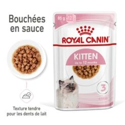 Cat Kitten Royal Canin Emincé En Sauce Sachet Repas -Vetoavenue cat kitten royal canin emince en sauce sachet repas 2