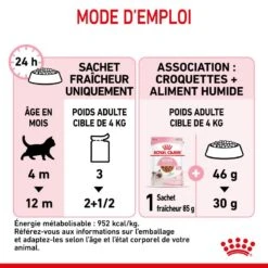 Cat Kitten Royal Canin Emincé En Sauce Sachet Repas -Vetoavenue cat kitten royal canin emince en sauce sachet repas 3