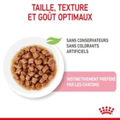 Cat Kitten Royal Canin Emincé En Sauce Sachet Repas -Vetoavenue cat kitten royal canin emince en sauce sachet repas 5