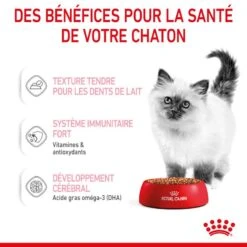 Cat Kitten Royal Canin Emincé En Sauce Sachet Repas -Vetoavenue cat kitten royal canin emince en sauce sachet repas 6
