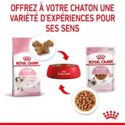 Cat Kitten Royal Canin Emincé En Sauce Sachet Repas -Vetoavenue cat kitten royal canin emince en sauce sachet repas 7