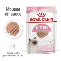 Cat Kitten Royal Canin Mousse Sachet Repas 11 Cat Kitten Royal Canin Mousse Sachet Repas -Vetoavenue cat kitten royal canin mousse sachet repas 2