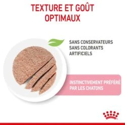 Cat Kitten Royal Canin Mousse Sachet Repas 12 Cat Kitten Royal Canin Mousse Sachet Repas -Vetoavenue cat kitten royal canin mousse sachet repas 3