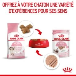 Cat Kitten Royal Canin Mousse Sachet Repas 16 Cat Kitten Royal Canin Mousse Sachet Repas -Vetoavenue cat kitten royal canin mousse sachet repas 7