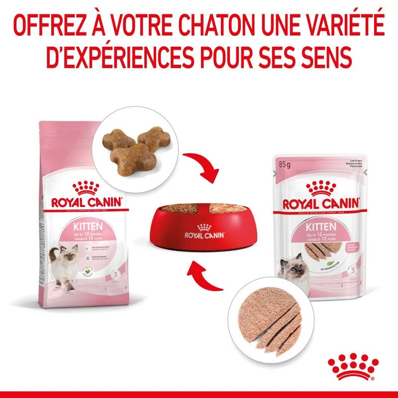 Cat Kitten Royal Canin Mousse Sachet Repas 8 Cat Kitten Royal Canin Mousse Sachet Repas – Image 8