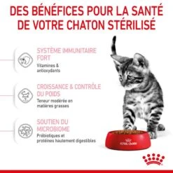 Cat Kitten Sterilised Royal Canin 11 Cat Kitten Sterilised Royal Canin -Vetoavenue cat kitten sterilised royal canin 4