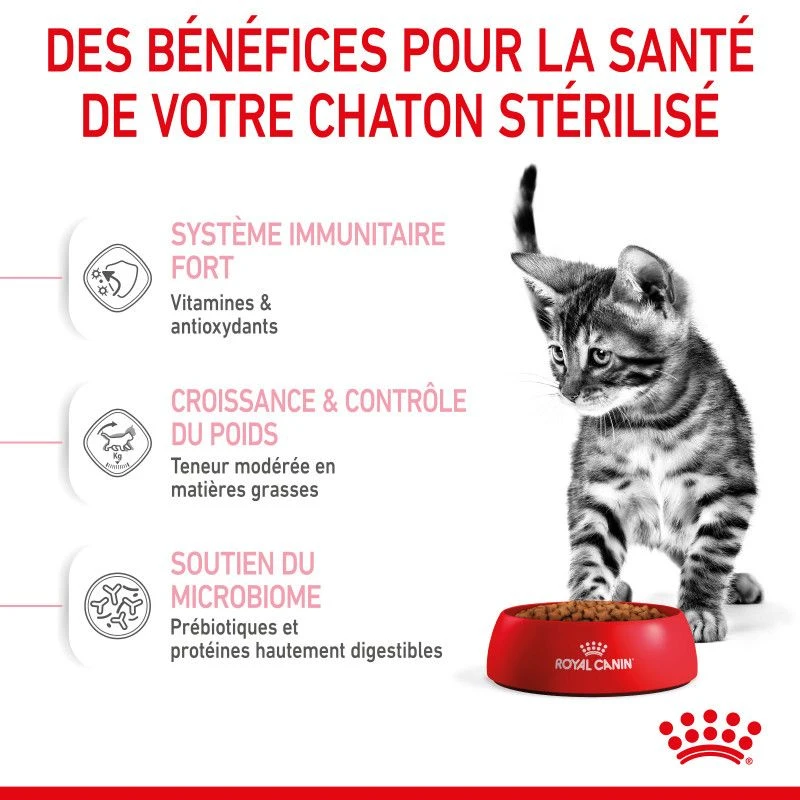Cat Kitten Sterilised Royal Canin 5 Cat Kitten Sterilised Royal Canin – Image 5