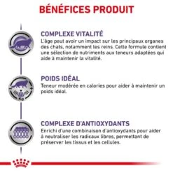 ROYAL CANIN Cat Mature Consult Balance Mousse Sachet Repas 13 ROYAL CANIN Cat Mature Consult Balance Mousse Sachet Repas -Vetoavenue cat mature consult balance mousse sachet repas 5