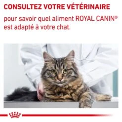ROYAL CANIN Cat Mature Consult Balance Mousse Sachet Repas 15 ROYAL CANIN Cat Mature Consult Balance Mousse Sachet Repas -Vetoavenue cat mature consult balance mousse sachet repas 7
