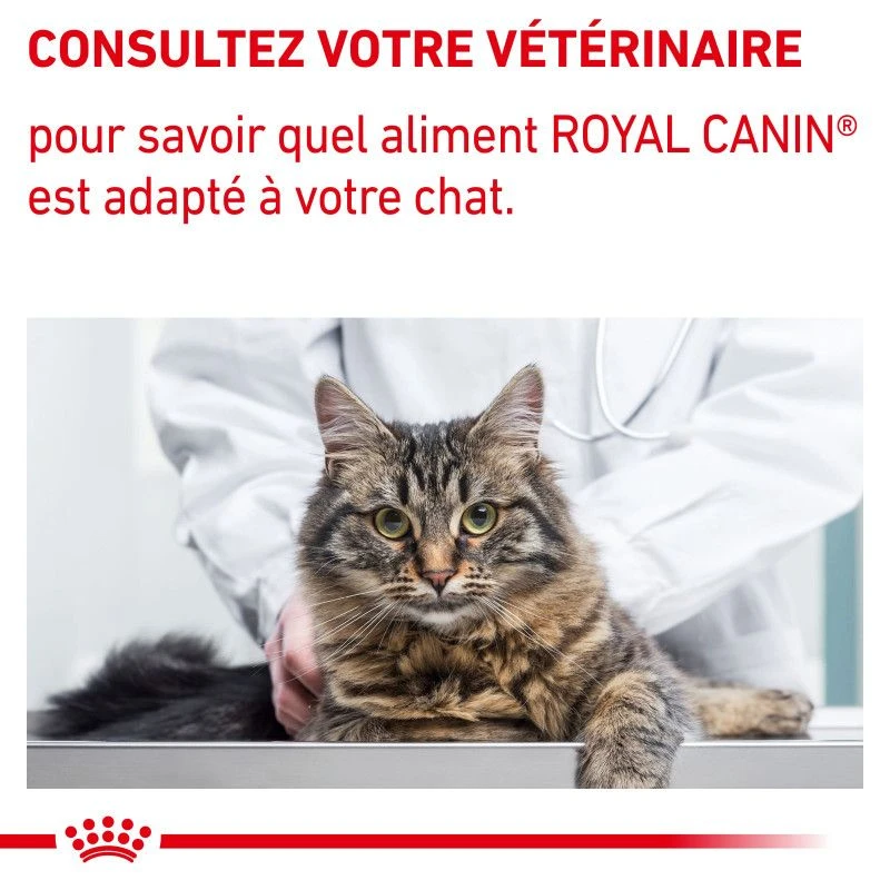 ROYAL CANIN Cat Mature Consult Balance Mousse Sachet Repas 8 ROYAL CANIN Cat Mature Consult Balance Mousse Sachet Repas – Image 8