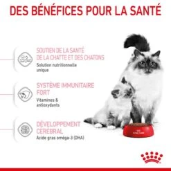 ROYAL CANIN Cat Mother & Babycat 14 ROYAL CANIN Cat Mother & Babycat -Vetoavenue cat mother babycat 6