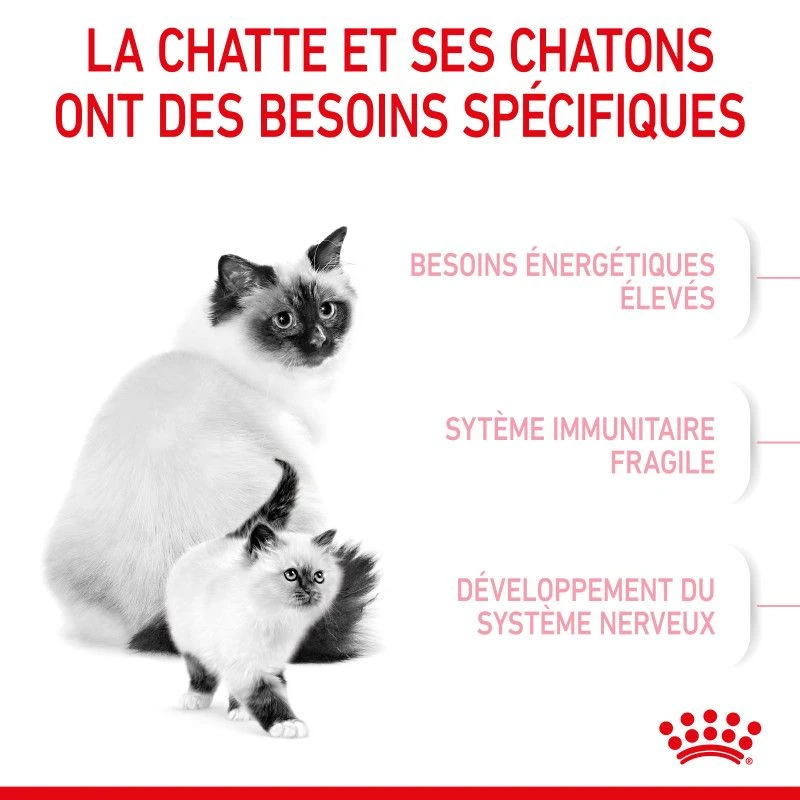 ROYAL CANIN Cat Mother & Babycat 8 ROYAL CANIN Cat Mother & Babycat – Image 8