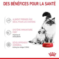 ROYAL CANIN Cat Mother & Babycat Boîte -Vetoavenue cat mother babycat boite 3