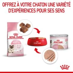 ROYAL CANIN Cat Mother & Babycat Boîte -Vetoavenue cat mother babycat boite 4