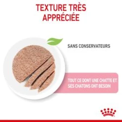 ROYAL CANIN Cat Mother & Babycat Boîte -Vetoavenue cat mother babycat boite 5
