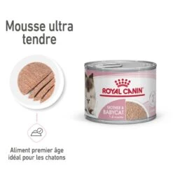 ROYAL CANIN Cat Mother & Babycat Boîte -Vetoavenue cat mother babycat boite 6