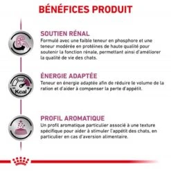 ROYAL CANIN Cat Renal Poulet Mousse Sachet Repas 10 ROYAL CANIN Cat Renal Poulet Mousse Sachet Repas -Vetoavenue cat renal poulet mousse sachet repas 2