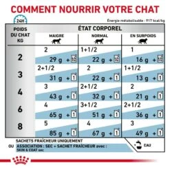 ROYAL CANIN Cat Skin & Coat Sachet Repas 13 ROYAL CANIN Cat Skin & Coat Sachet Repas -Vetoavenue cat skincoat sachet repas 4