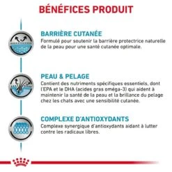 ROYAL CANIN Cat Skin & Coat Sachet Repas 14 ROYAL CANIN Cat Skin & Coat Sachet Repas -Vetoavenue cat skincoat sachet repas 5