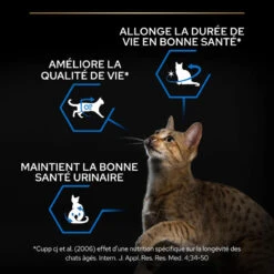 PURINA PRO PLAN Cat Sterilised Adult 7+ Longevis Dinde 20 PURINA PRO PLAN Cat Sterilised Adult 7+ Longevis Dinde -Vetoavenue cat sterilised adult 7 turkey 6
