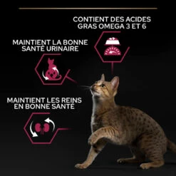 PURINA PRO PLAN Cat Sterilised Adult Savoury Duo Cabillaud Et Truite 14 PURINA PRO PLAN Cat Sterilised Adult Savoury Duo Cabillaud Et Truite -Vetoavenue cat sterilised adult optisavour cabillaud et truite 4