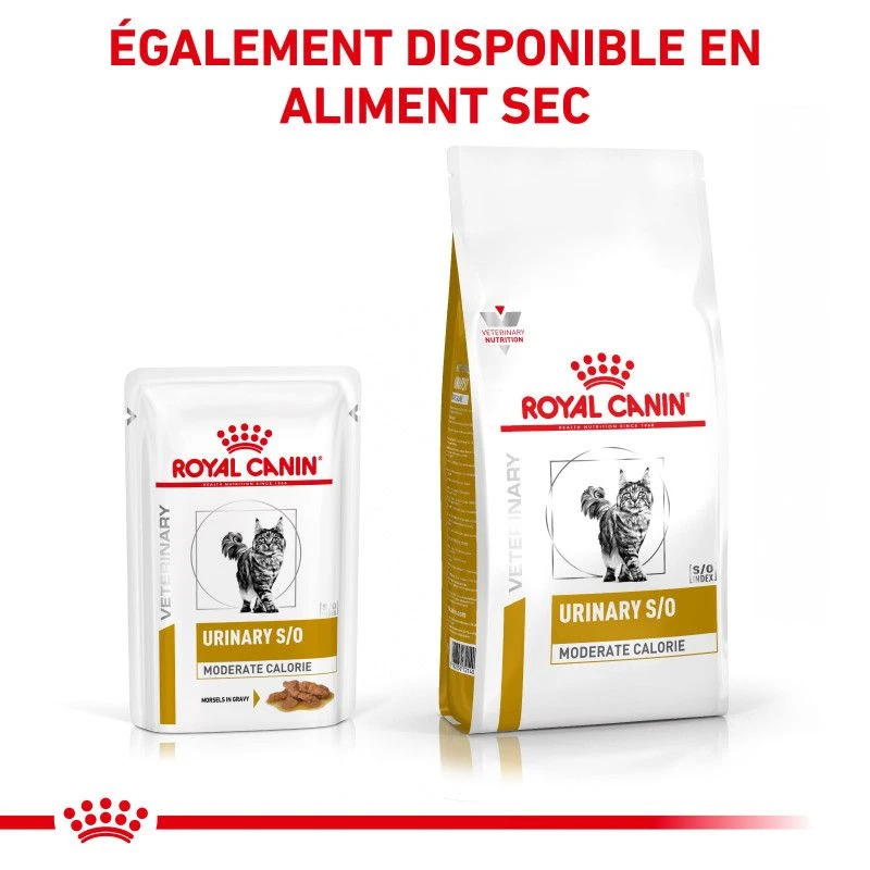 ROYAL CANIN Cat Urinary S/O Moderate Calorie Sachet Repas 2 ROYAL CANIN Cat Urinary S/O Moderate Calorie Sachet Repas – Image 2