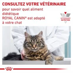 ROYAL CANIN Cat Urinary S/O Sachet Repas 12 ROYAL CANIN Cat Urinary S/O Sachet Repas -Vetoavenue cat urinary s o morceaux sachet repas 12 sachets de 85 g 3