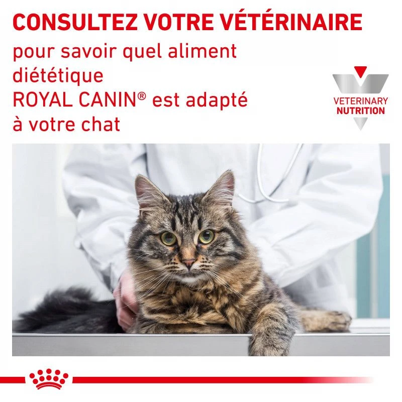 ROYAL CANIN Cat Urinary S/O Sachet Repas 4 ROYAL CANIN Cat Urinary S/O Sachet Repas – Image 4