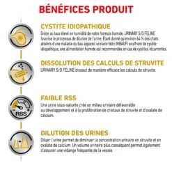 ROYAL CANIN Cat Urinary S/O Mousse Sachet Repas -Vetoavenue cat urinary s o mousse sachet repas 4