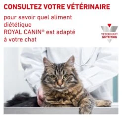 ROYAL CANIN Cat Urinary S/O Mousse Sachet Repas -Vetoavenue cat urinary s o mousse sachet repas 6