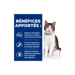 Chat Gastrointestinal Biome Stress Poulet 8 Chat Gastrointestinal Biome Stress Poulet -Vetoavenue chat gastrointestinal biome stress poulet 3