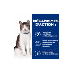 Chat Gastrointestinal Biome Stress Poulet 9 Chat Gastrointestinal Biome Stress Poulet -Vetoavenue chat gastrointestinal biome stress poulet 4