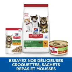 Chat Kitten And Mother Mousse Poulet & Dinde Boîte -Vetoavenue chat kitten and mother mousse poulet dinde boite 3