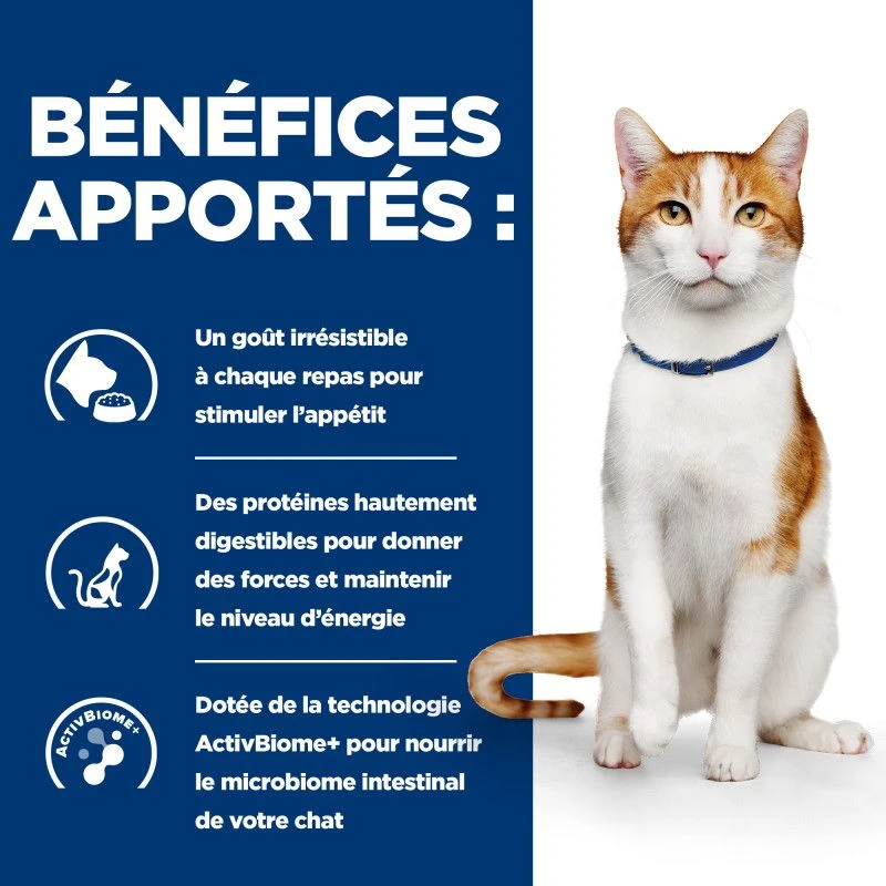 Chat On-Care Poulet 4 Chat On-Care Poulet – Image 4