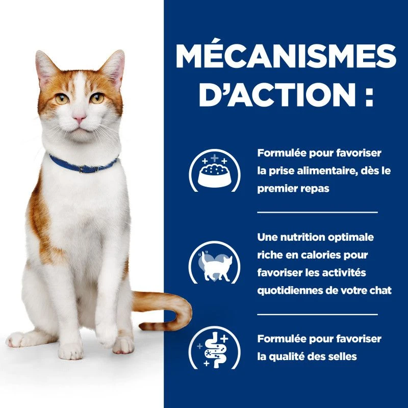 Chat On-Care Poulet 5 Chat On-Care Poulet – Image 5