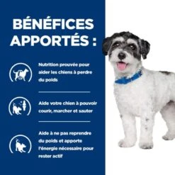 J/d Metabolic+Mobility Mini Croquettes Pour Petit Chien Au Poulet 9 J/d Metabolic+Mobility Mini Croquettes Pour Petit Chien Au Poulet -Vetoavenue chien j d metabolicmobility mini poulet 2