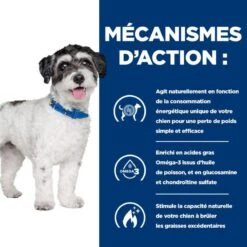 J/d Metabolic+Mobility Mini Croquettes Pour Petit Chien Au Poulet 10 J/d Metabolic+Mobility Mini Croquettes Pour Petit Chien Au Poulet -Vetoavenue chien j d metabolicmobility mini poulet 3