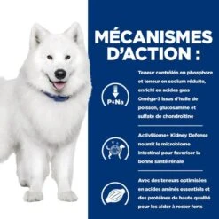 Chien K/d J/d Kidney + Mobility Poulet Boîte 11 Chien K/d J/d Kidney + Mobility Poulet Boîte -Vetoavenue chien k d j d kidney mobility poulet boite 3