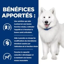 Chien K/d J/d Kidney + Mobility Poulet Boîte 12 Chien K/d J/d Kidney + Mobility Poulet Boîte -Vetoavenue chien k d j d kidney mobility poulet boite 4