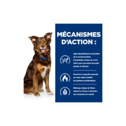 Chien Metabolic Mijotés Boeuf & Légumes Boîte 8 Chien Metabolic Mijotés Boeuf & Légumes Boîte -Vetoavenue chien metabolic mijotes boeuf legumes boite 2