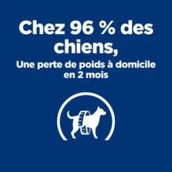 Chien Metabolic Weight Loss & Maintenance Boeuf Boîte 10 Chien Metabolic Weight Loss & Maintenance Boeuf Boîte -Vetoavenue chien metabolic weight loss maintenance boeuf boite 2