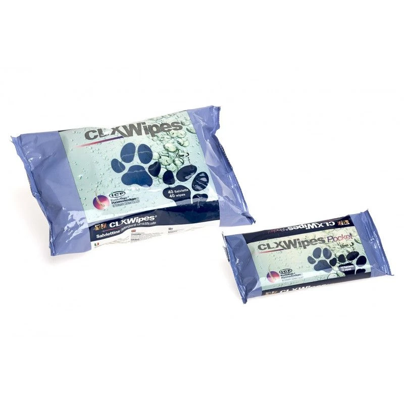CLX Wipes 2 CLX Wipes – Image 2